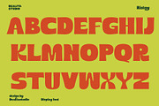 Ristoy - Bold Display Sans, a Sans Serif Font by dealitastudio (Thumbnail 9 of 14)