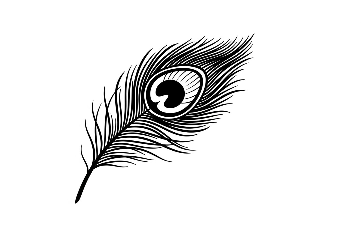 Peacock Feather Silhouette Bundle, an Illustration by jahid234 (Photo 24 of 31)