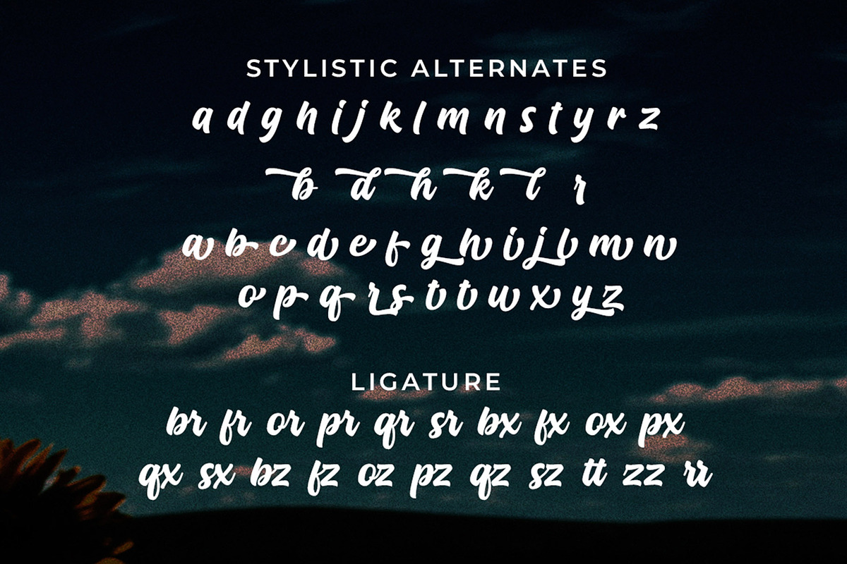 Backly Highs - Title Brand Font, a Script Font by Multype Studio (Photo 6 of 8)