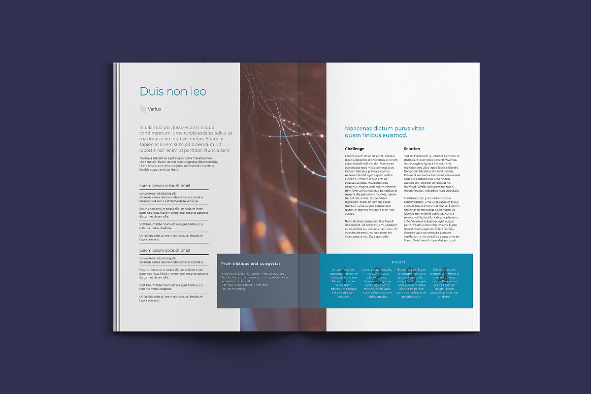 KEPLER Corporate Report Design, a Brochure Template by astrographic (Photo 11 of 12)