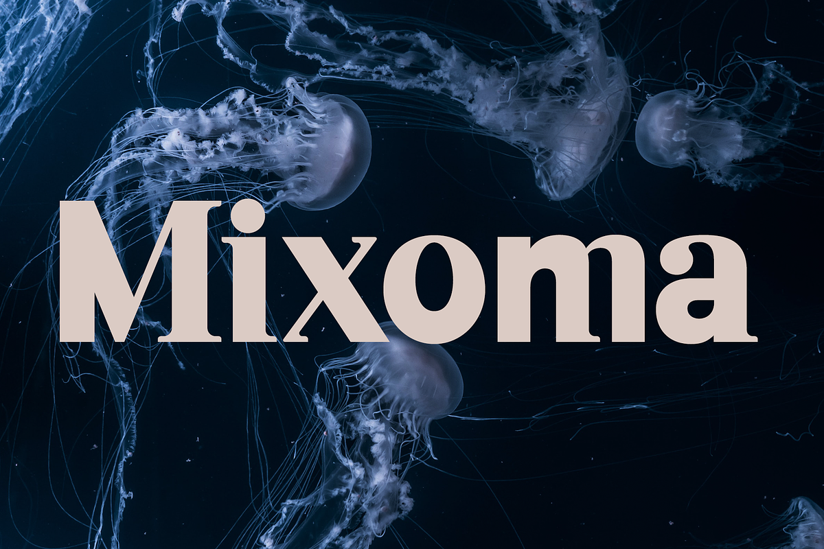 Mixoma, a Serif Font by Something & Nothing (Photo 1 of 4)