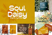 Mexican Font Bundle - 33 Fonts!, a Slab Serif Font by HipFonts (Thumbnail 10 of 18)