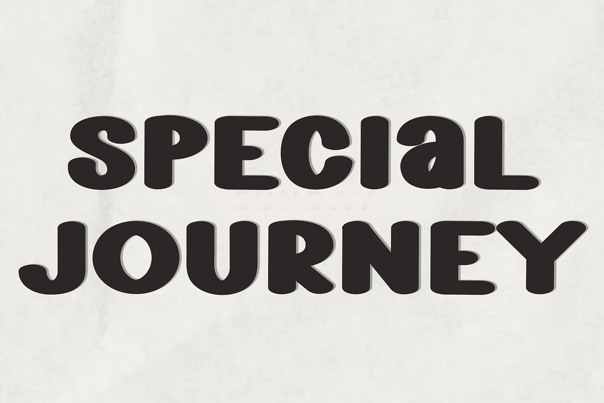 Light Heavy, a Script Font by FreshTypeINK (Photo 3 of 8)