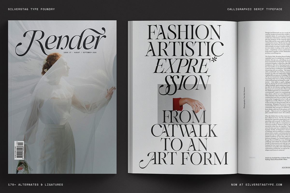 Netsera Calligraphic Serif Typeface, a Serif Font by SilverStag Type Foundry (Photo 23 of 30)