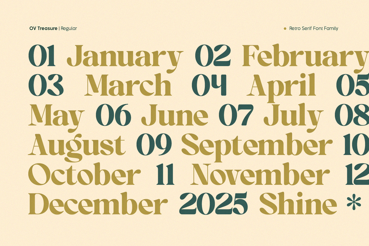 OV Treasure Retro Serif Font Family, a Serif Font by OV Type (Photo 4 of 21)