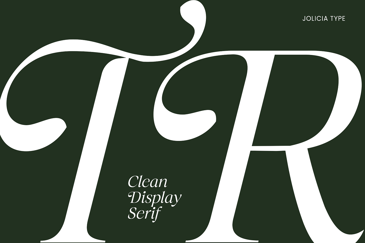 The Taylor Belle | Elegant Feminine, a Sans Serif Font by Jolicia Type (Photo 9 of 15)