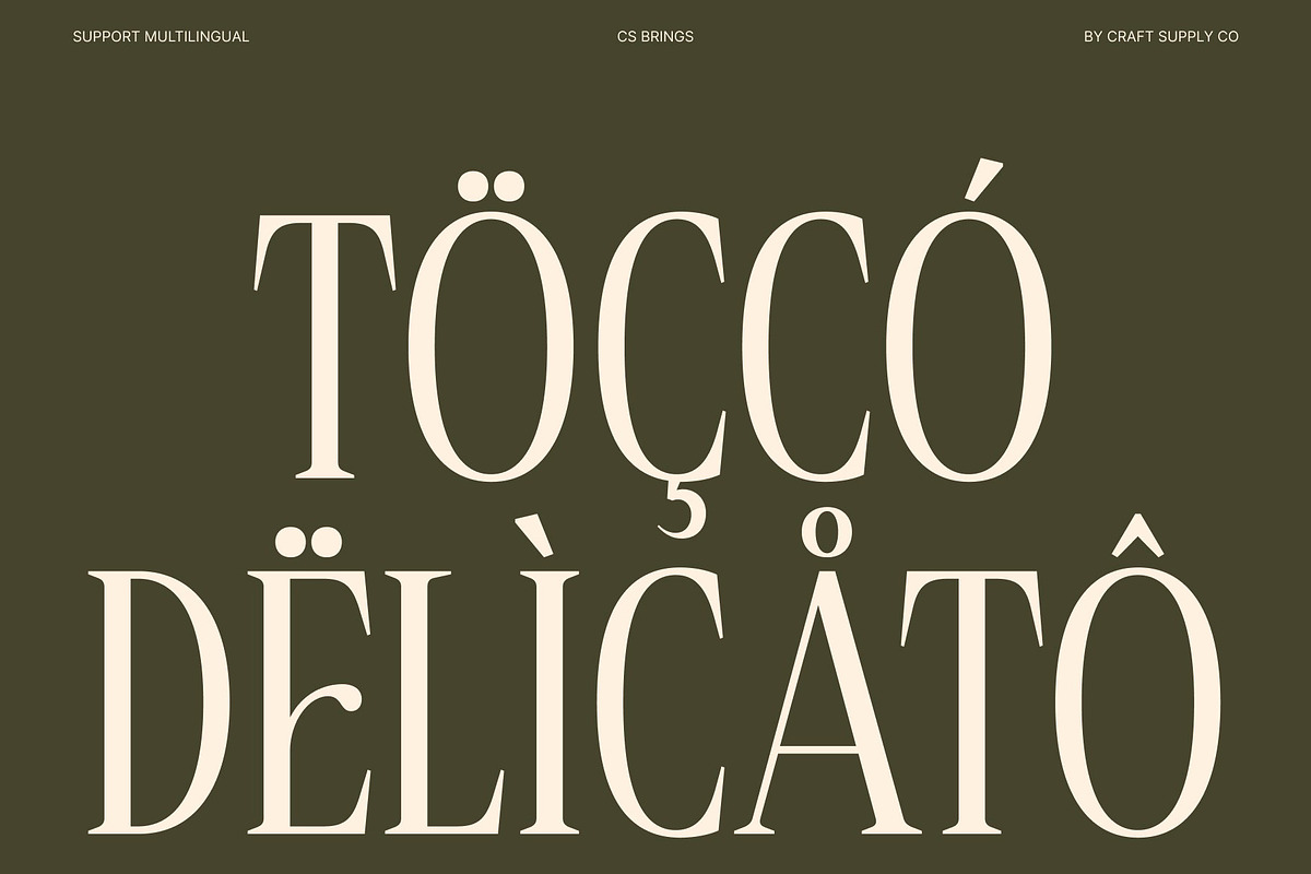 CS Brings – Elegant Serif Font, a Serif Font by Craft Supply Co. (Photo 7 of 8)