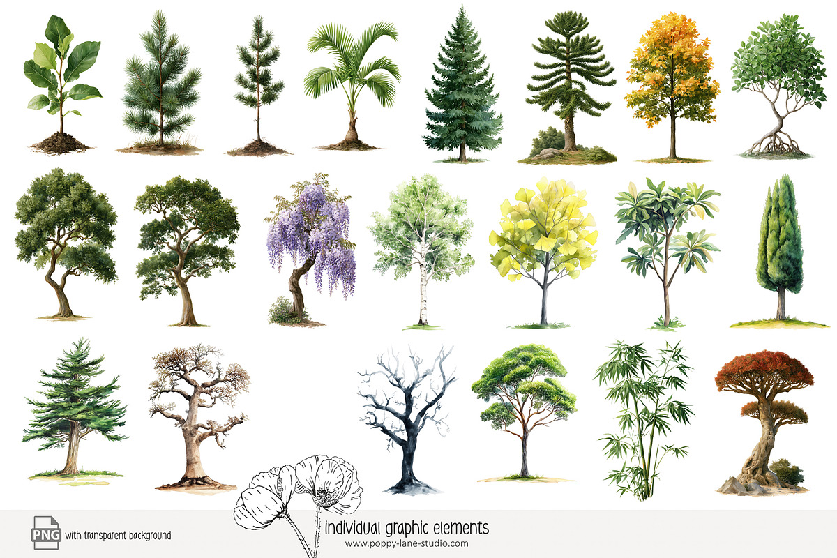 100 watercolour global tree clip art, a Seasonal Illustration by Poppy Lane Studio (Photo 9 of 11)