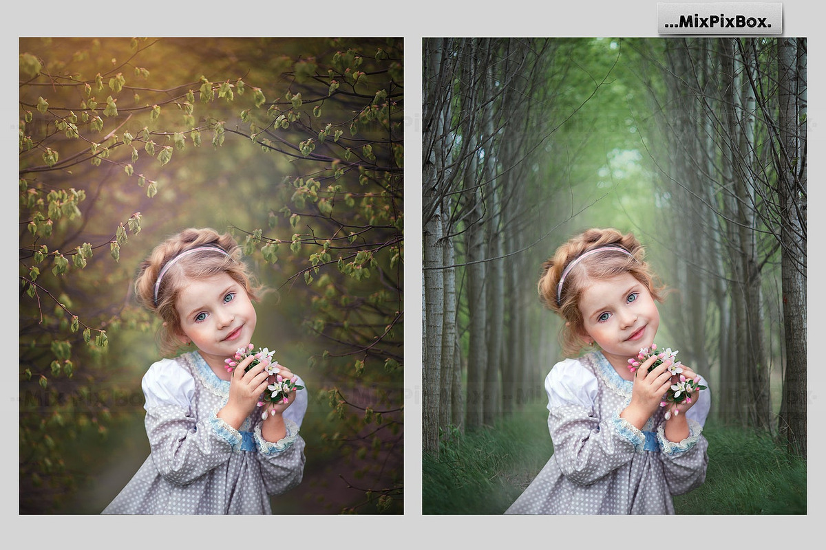 Spring Portrait Backgrounds, a Wallpaper Graphic by MixPixBox (Photo 10 of 10)
