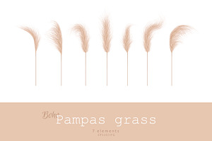 PAMPAS GRASS Vector Set