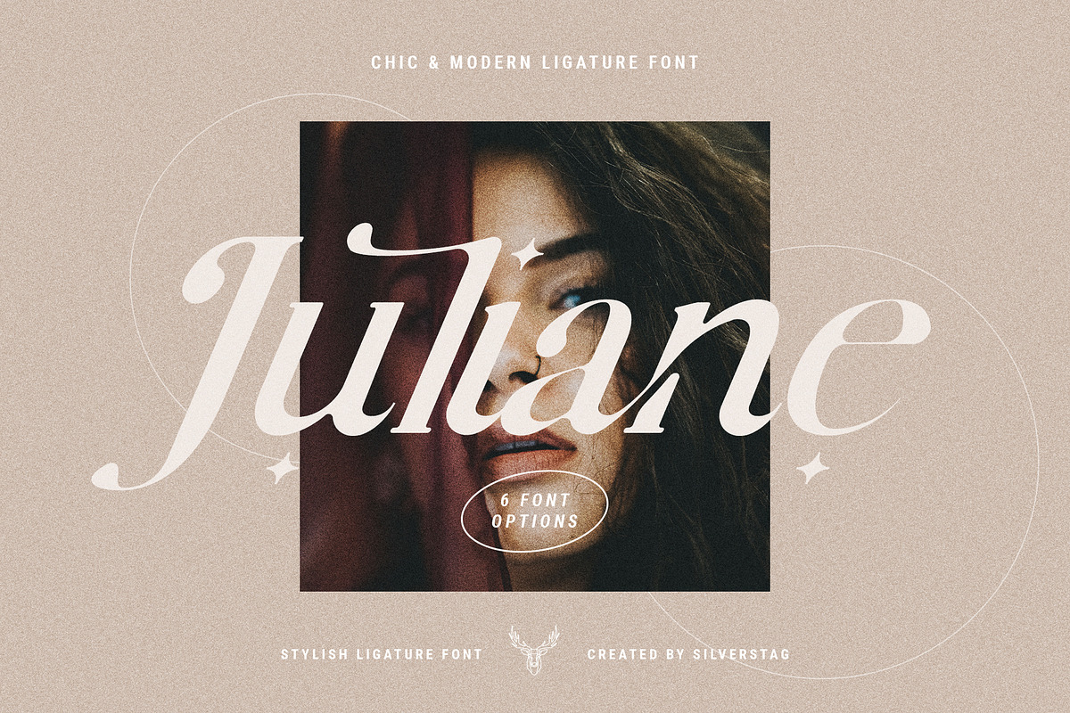 Charles - Ligature Serif Font Family, a Serif Font by SilverStag Type Foundry (Photo 2 of 32)