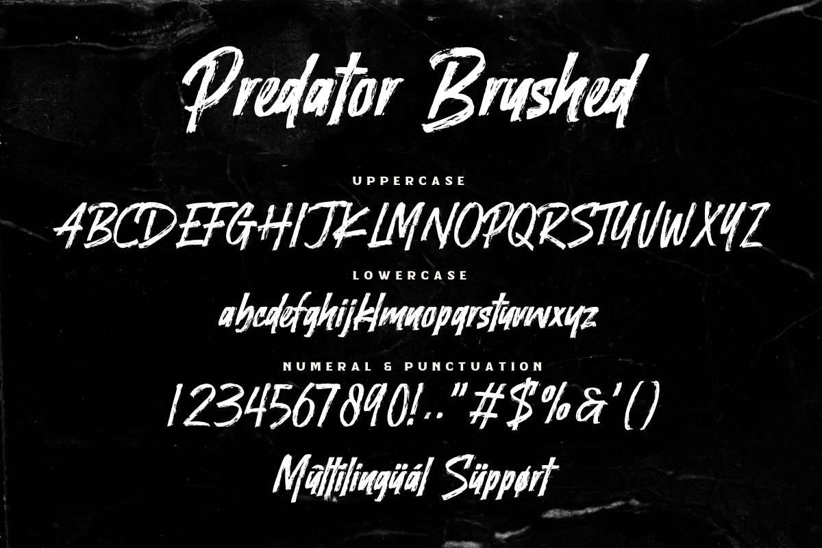 Predator Brushed – Brush Font, a Handwritten Font by Fikryal Studio (Photo 15 of 15)