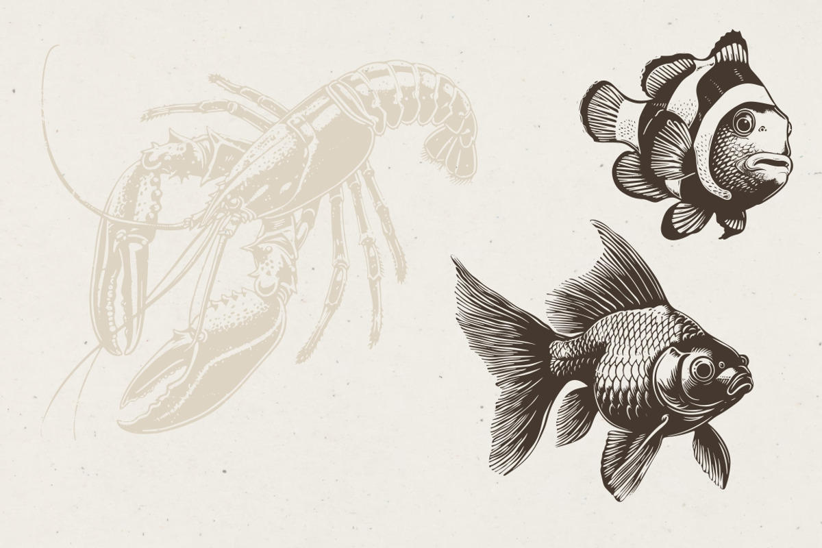 340 Sea Creatures illustrations, an Animal Illustration by Nocturnal Wolf (Photo 3 of 15)