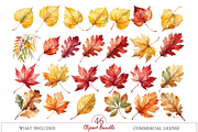 Autumn Leaves Clipart, a Decorative Illustration by MockupWizard (Thumbnail 2 of 5)
