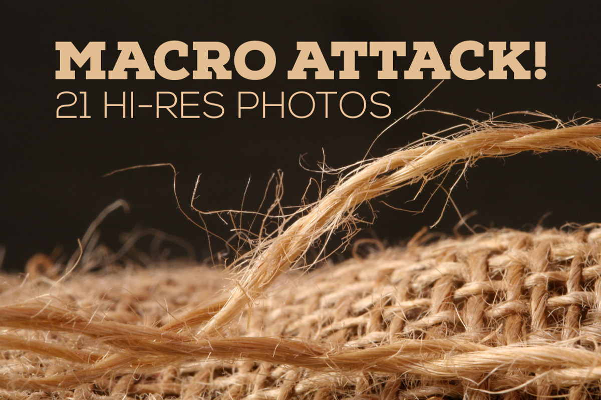 Macro Attack!, a Templates & Theme by SeikCo (Photo 1 of 5)