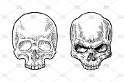 Skull human. Engraving vintage, a Person Illustration by MoreVector (Thumbnail 2 of 3)