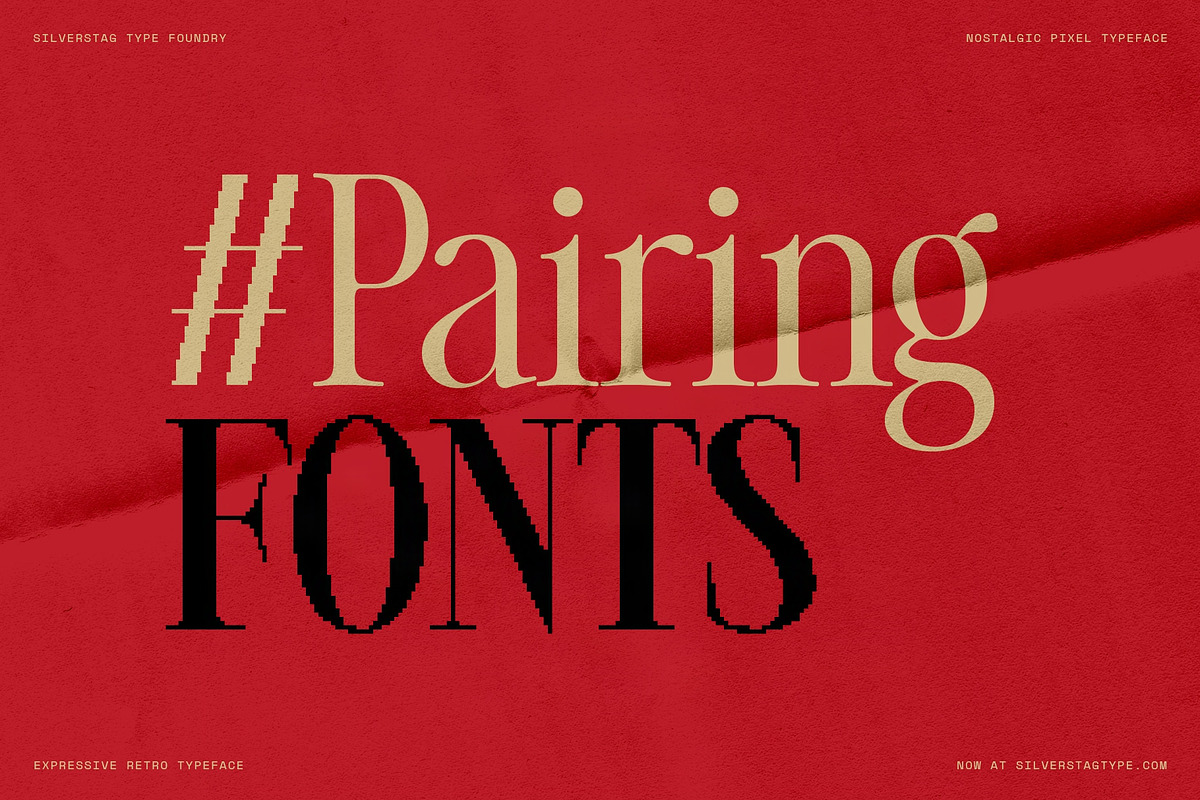 The Silver Editorial Pixel Version, a Serif Font by SilverStag Type Foundry (Photo 17 of 20)