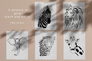 African animals. Line art collection, an Object Graphic by Vera●Suleimanova (Thumbnail 4 of 16)