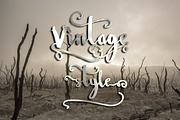Wowangle Brush Script (Bonus Font), a Script Font by FHFont (Thumbnail 5 of 8)