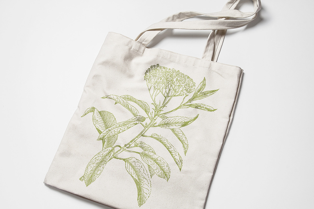 Leaves & Twigs Vintage Illustrations, an Illustration by Graphic Goods (Photo 9 of 10)