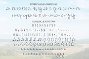 Montana | Script Font, a Handwritten Font by Scratchones (Thumbnail 7 of 9)
