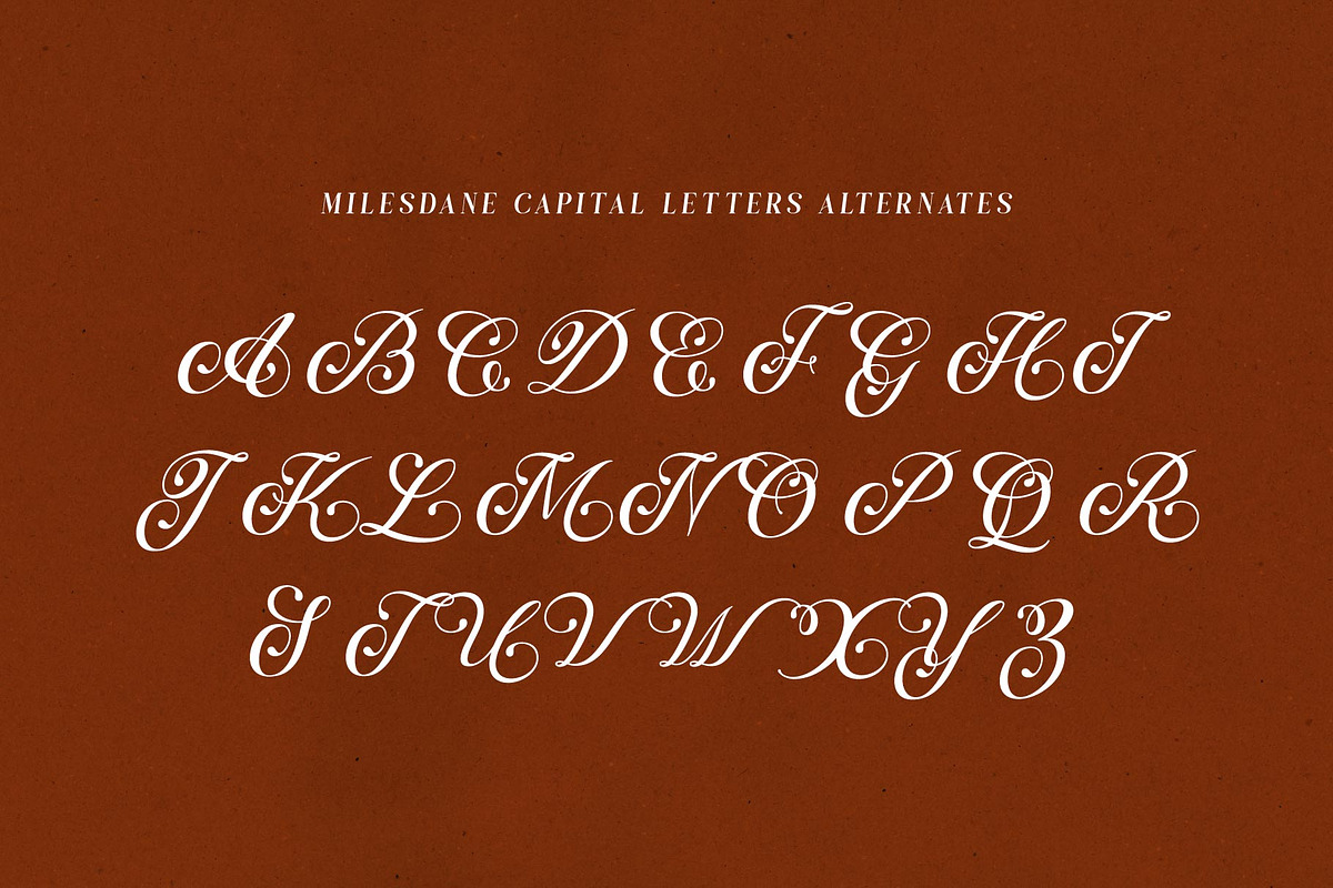Milesdane; Italic Display Serif, a Serif Font by Eko Bimantara (Photo 9 of 9)