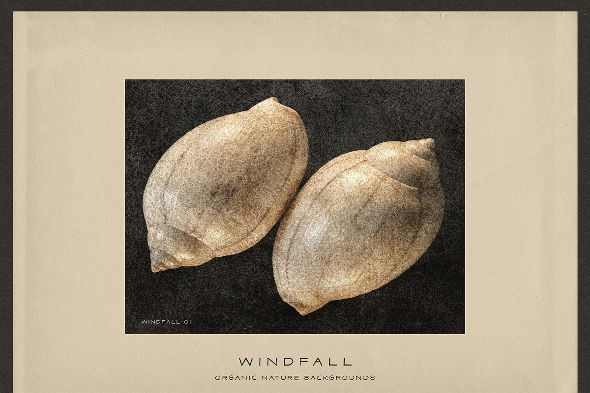 Windfall Organic Nature Backgrounds, a Background Graphic by alonahaidash (Photo 2 of 14)