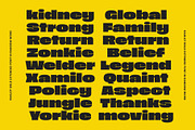 Raglot - Bold Extended Font, a Font by Bring To Type (Thumbnail 6 of 9)