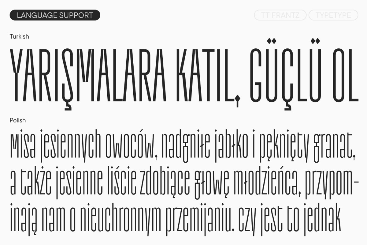 TT Frantz, a Sans Serif Font by TypeType (Photo 8 of 12)