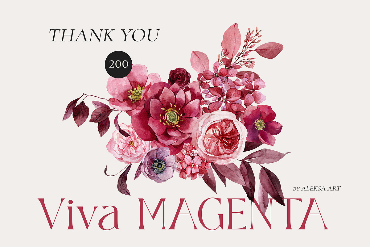 Viva MAGENTA floral collection, an Illustration by AleksaArt (Photo 15 of 15)