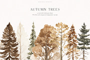 An Autumn Forest Chapter Collection, an Animal Illustration by PeDe Designs (Thumbnail 20 of 29)