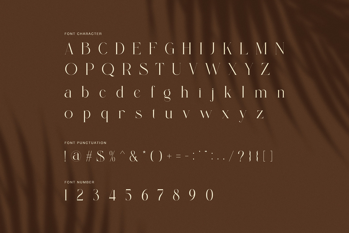 Rinda Luxury Serif Display Font, a Serif Font by Perfectype (Photo 7 of 8)