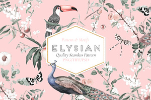 ELYSIAN, Quality Prints & More!