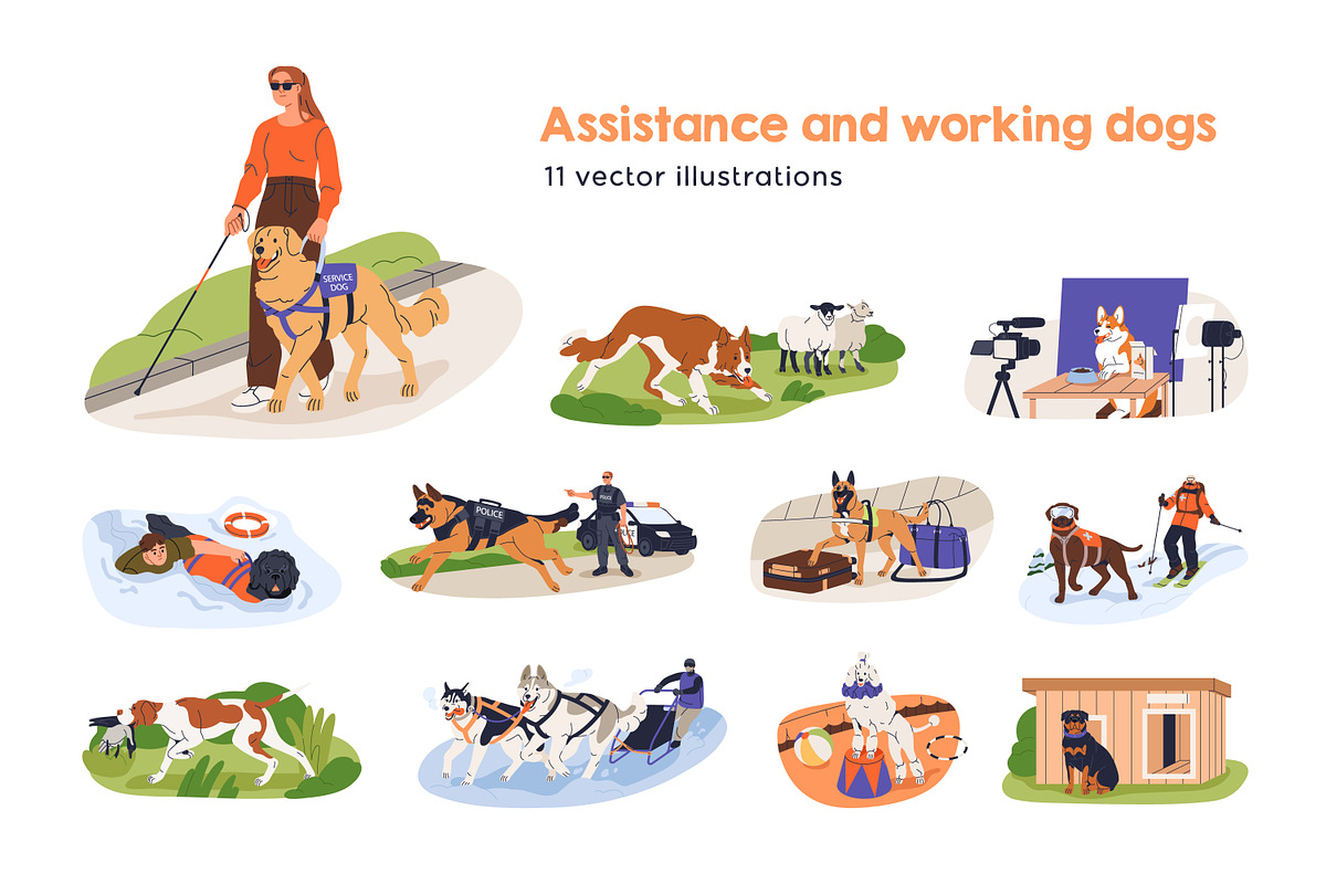 Assistance and working dogs set, an Animal Illustration by Good Studio (Photo 1 of 4)