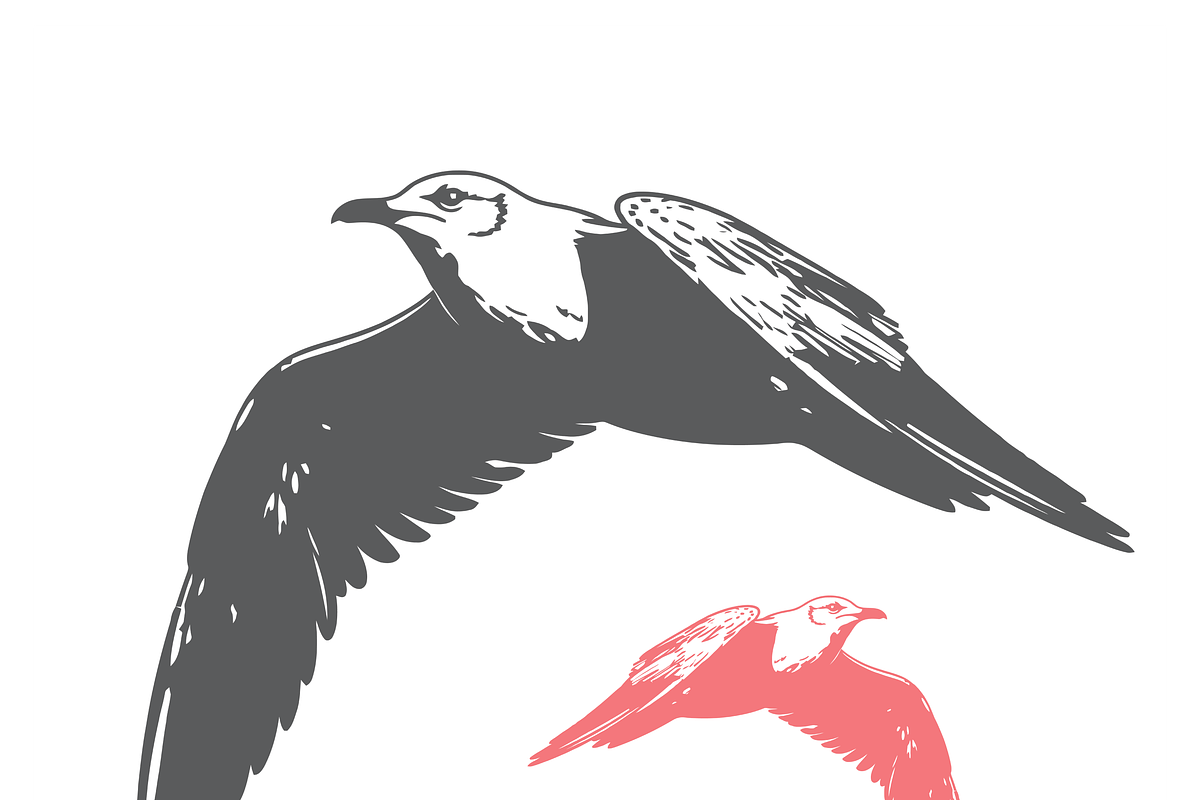 Dynamic Bird Illustrations Set, a Finance Illustration by CarWrap design (Photo 3 of 3)