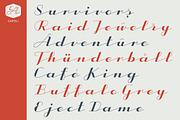 CA Capoli Family, a Script Font by Cape Arcona Type Foundry (Thumbnail 4 of 7)