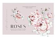 Watercolor Roses Clipart, an Illustration by WalaPalette (Thumbnail 9 of 11)