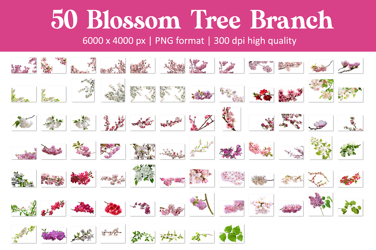 Blossom Tree Branch Overlays, an Object Graphic by DreamyOverlay (Photo 6 of 6)