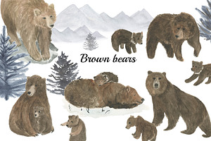 Brown bears - watercolor collection