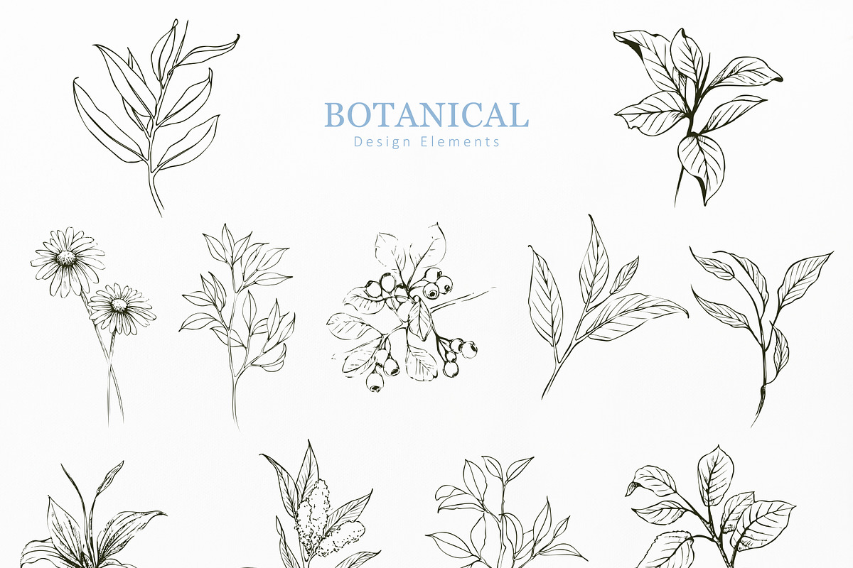 Foliage Hand Drawn, an Object Graphic by Solana (Photo 2 of 3)