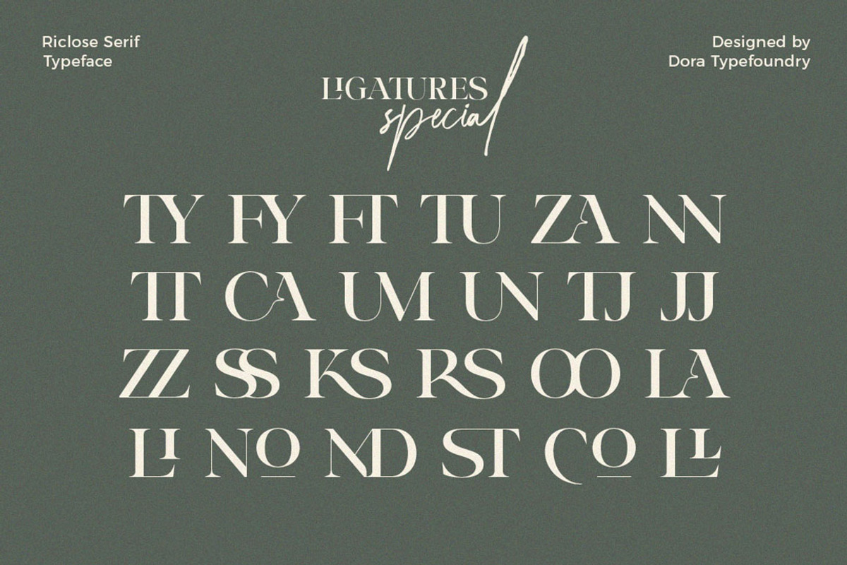 Riclose Font Duo, a Serif Font by Dora Typefoundry (Photo 20 of 29)
