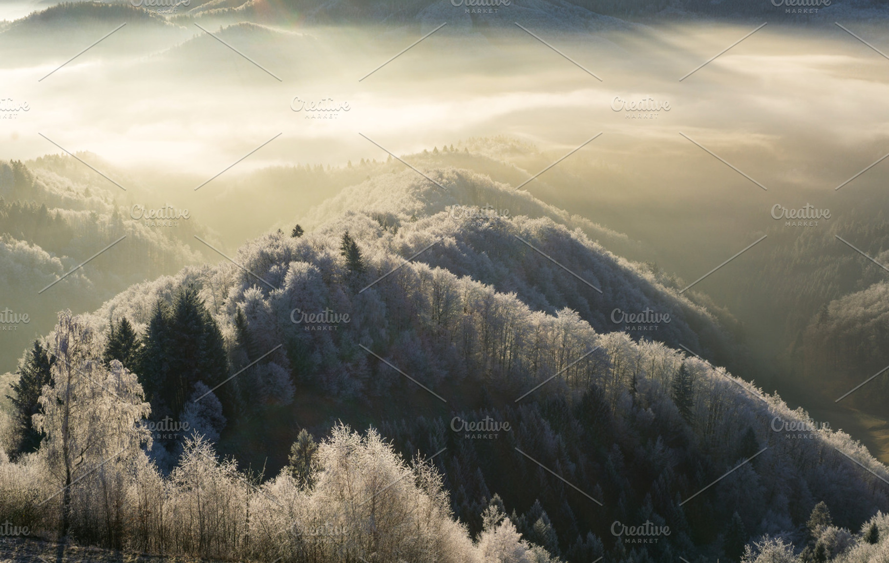 Beautiful winter morning containing alps, autumn, and background, a Nature Photo by HrastovaSiska
