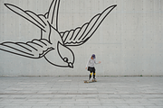 Swallow Illustration Set, an Illustration by Inkwell Supply Co (Thumbnail 3 of 5)