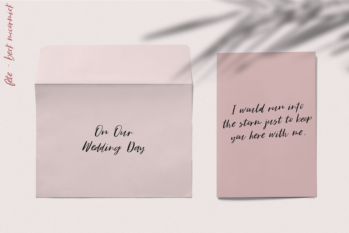 Fête Casual Script preview 4