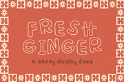 Fresh Ginger Font, a Font by Jannasuedesign (Thumbnail 1 of 10)