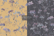 Patterns PROTEA, an Illustration by PASHKOVA (Thumbnail 17 of 19)