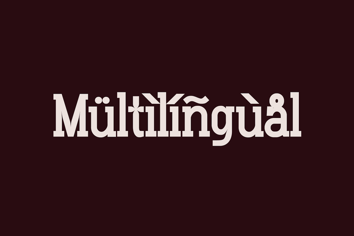 Gluttoner Inktrap | Vintage & Bold, a Serif Font by Lettertype Studio (Photo 13 of 15)