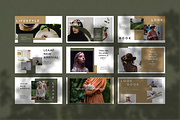 Leaaf Keynote Pitch Deck+, a Presentation Template by uiplus (Thumbnail 2 of 5)