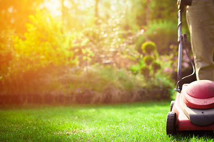 The gardener mows the grass featuring lawn, green, and mower