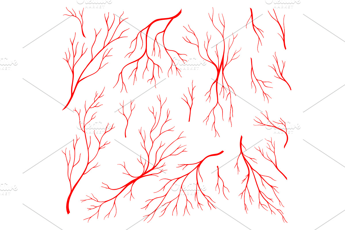 Red veins, anatomy blood artery, a Healthcare Illustration by Vector ...